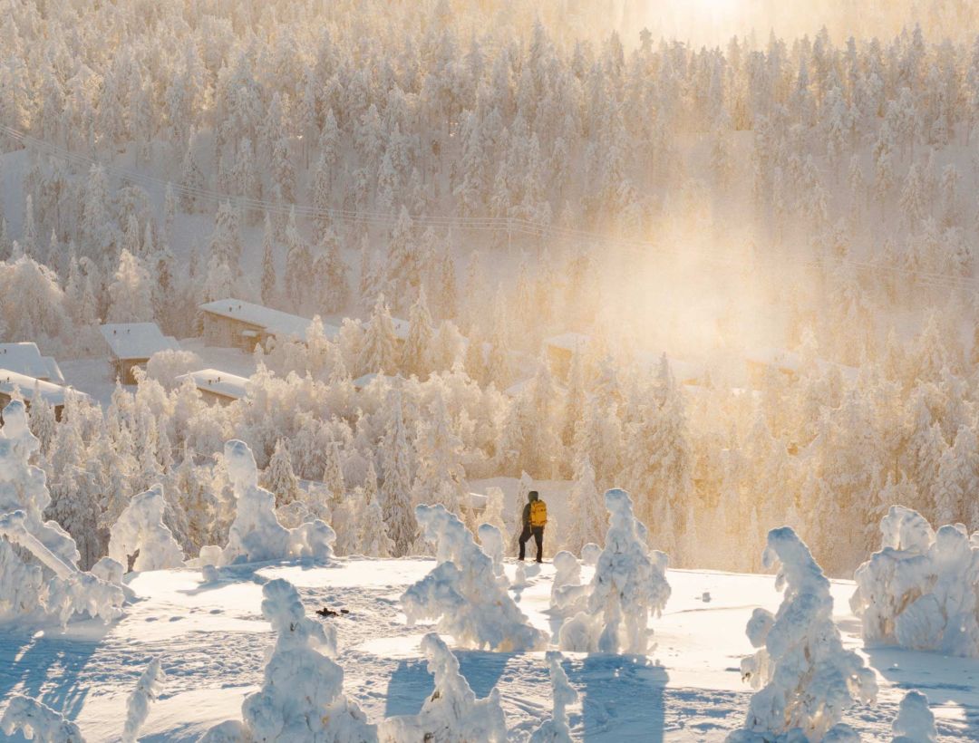 Boutique accommodation at the top of Ruka