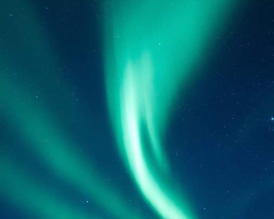 Arctic Experiences